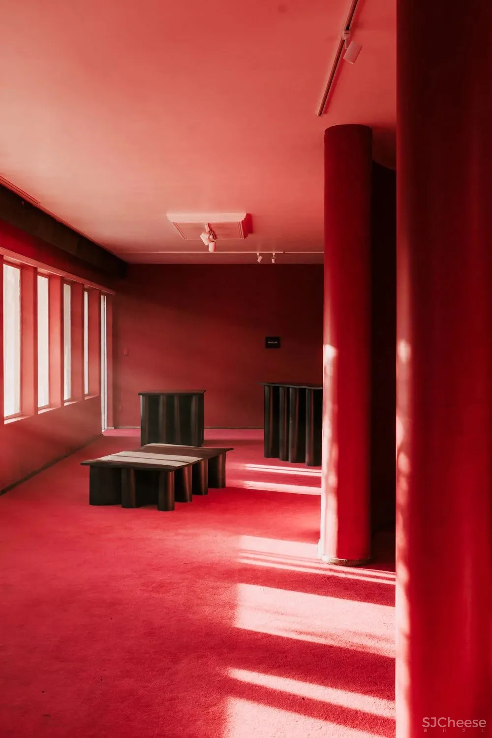 “集體收藏”與“恢復發現”