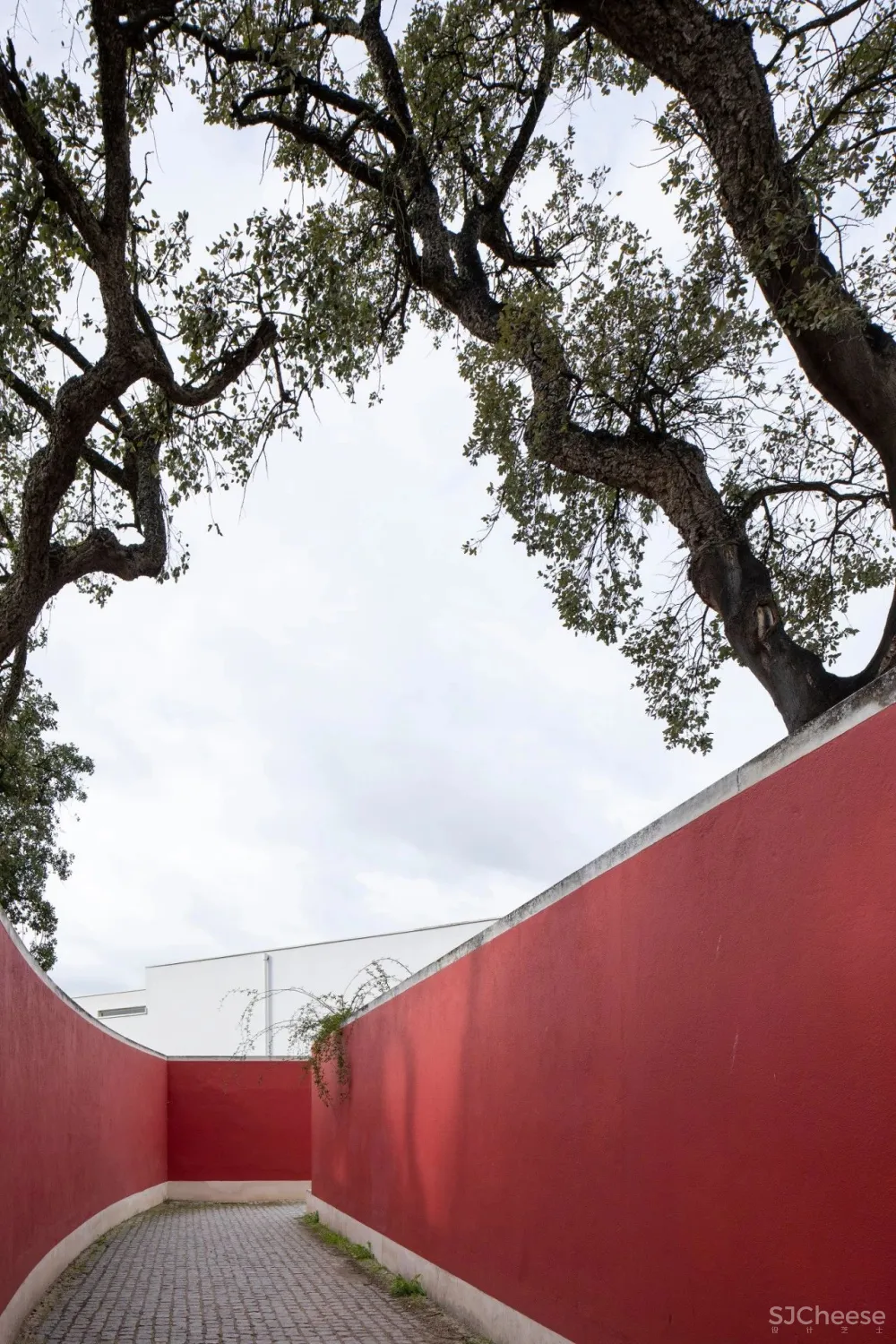 Álvaro Siza 葡萄牙 Architecture