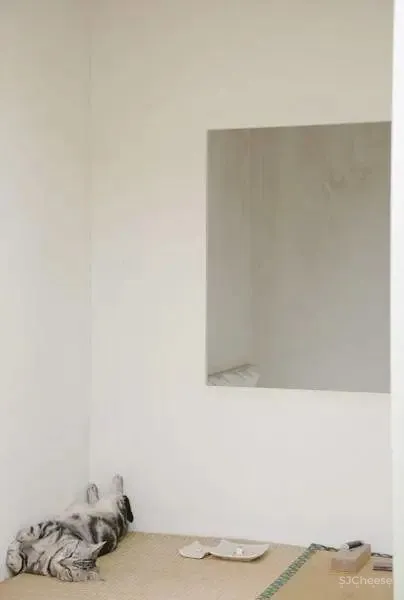 经典住宅合辑 从阿尔托到库哈斯，探讨住宅设计的落脚点