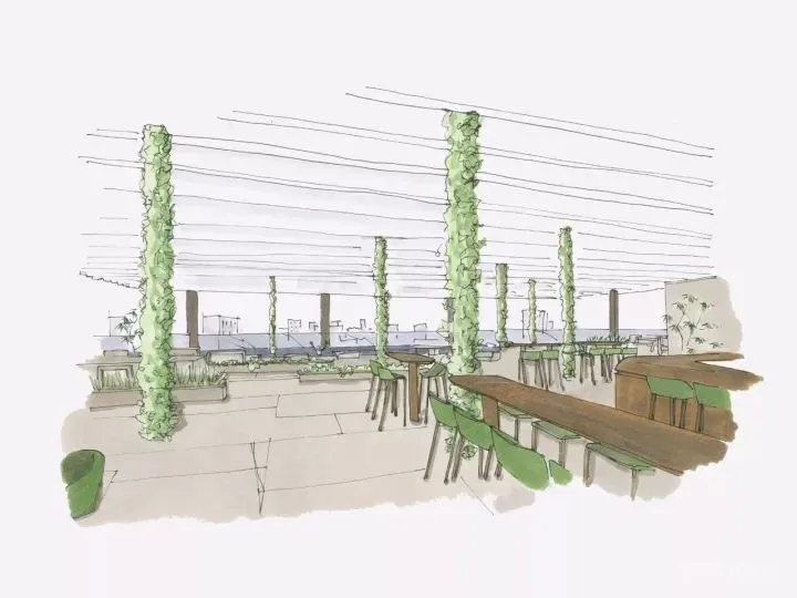 为何顶级设计，都爱心灵治愈的自然质朴！