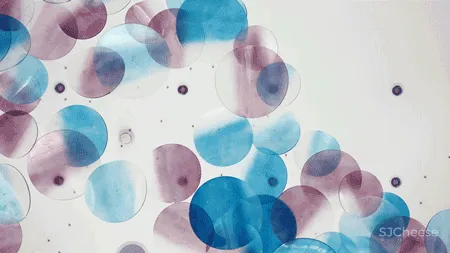 GBD 杜文彪专辑 售楼部