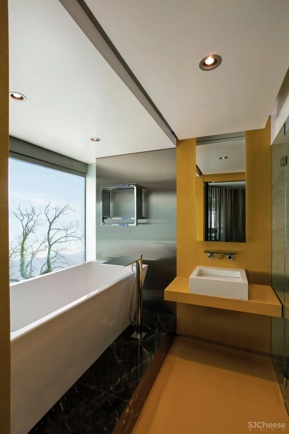 SAOTA & ARRCC | Lake House , 大胆的当代建筑空间