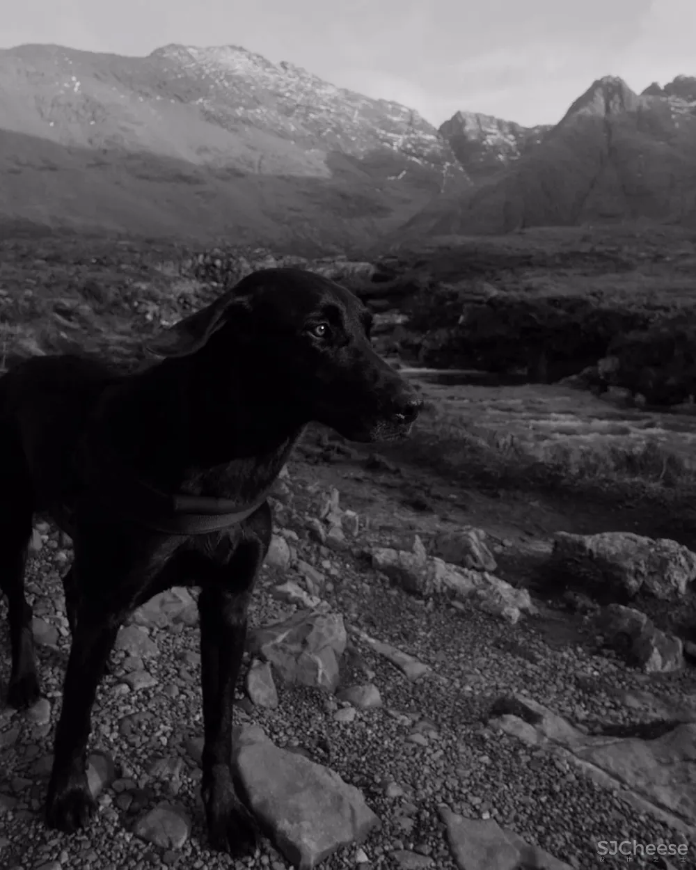 维多利亚女王的狩猎小屋,被Axel Vervoordt 徒弟改造成侘寂酒店