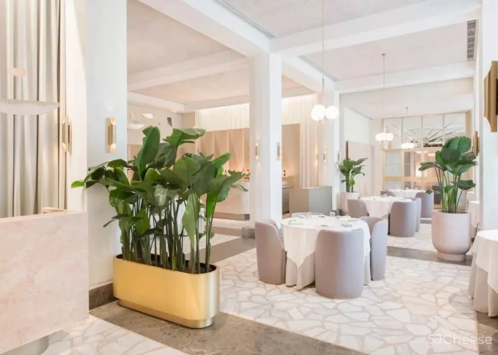 好料 水磨石逆袭之路,2020家居元素新晋网红