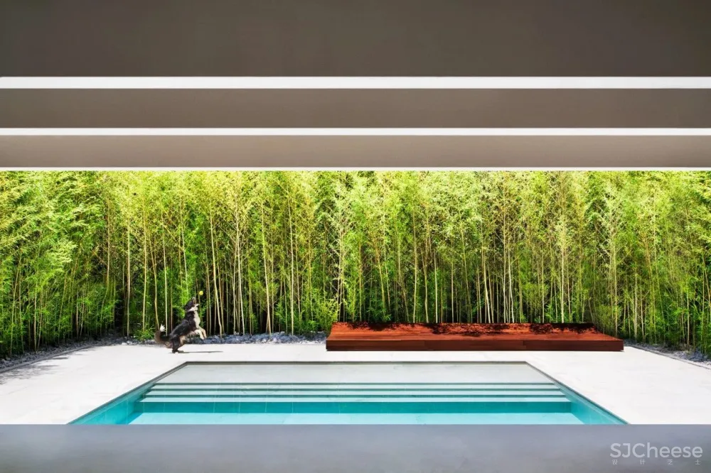 Guilherme Torres丨极简却不冷淡的完美主义