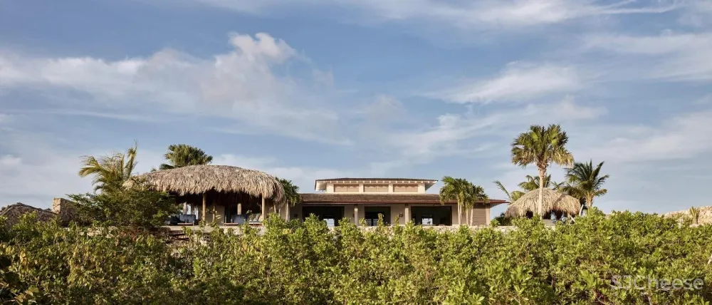 为何顶级设计，都爱心灵治愈的自然质朴！