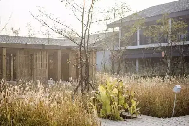 看完西溪这五个美宿，我终于明白为什么大大到访杭州第一站就来了这里