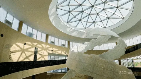 GBD 杜文彪专辑 售楼部