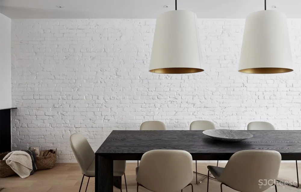 Ancerl Studio | Euclid Residence , 现代明亮的特色住宅