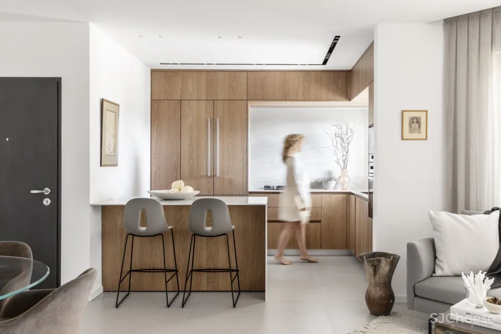 Maya Sheinberger | S Apartment , 极简舒适的现代住宅