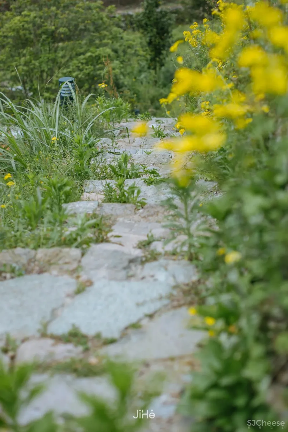 台州仙居|杜若山居 ,睡进森林白房子,人美景少超清净