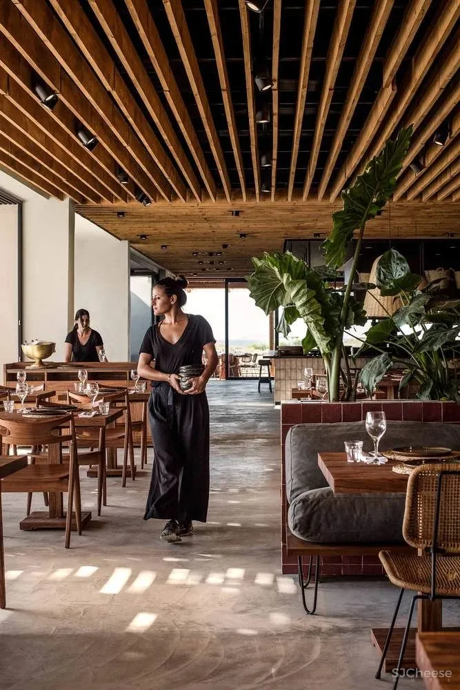 Casa Cook Kos 酒店,四栋单体组成的大社区