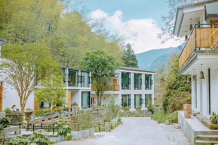 台州仙居|杜若山居 ,睡进森林白房子,人美景少超清净