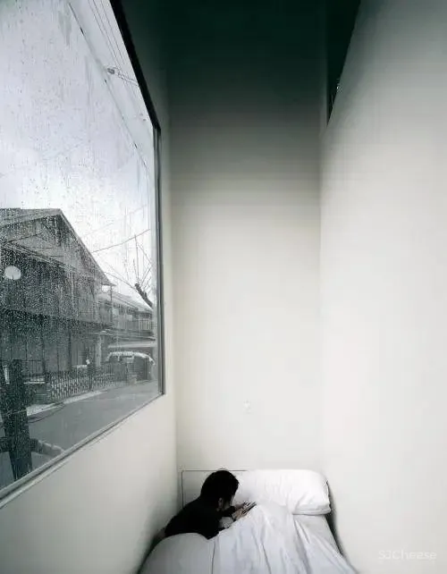 经典住宅合辑 从阿尔托到库哈斯，探讨住宅设计的落脚点