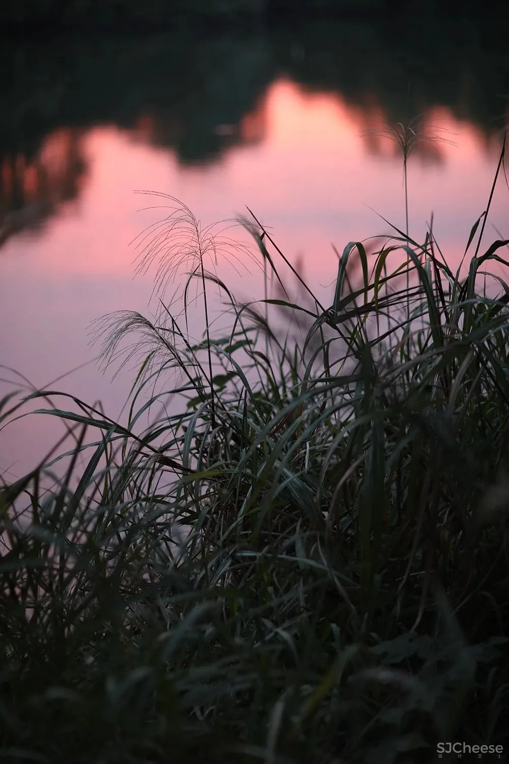 看完西溪这五个美宿，我终于明白为什么大大到访杭州第一站就来了这里