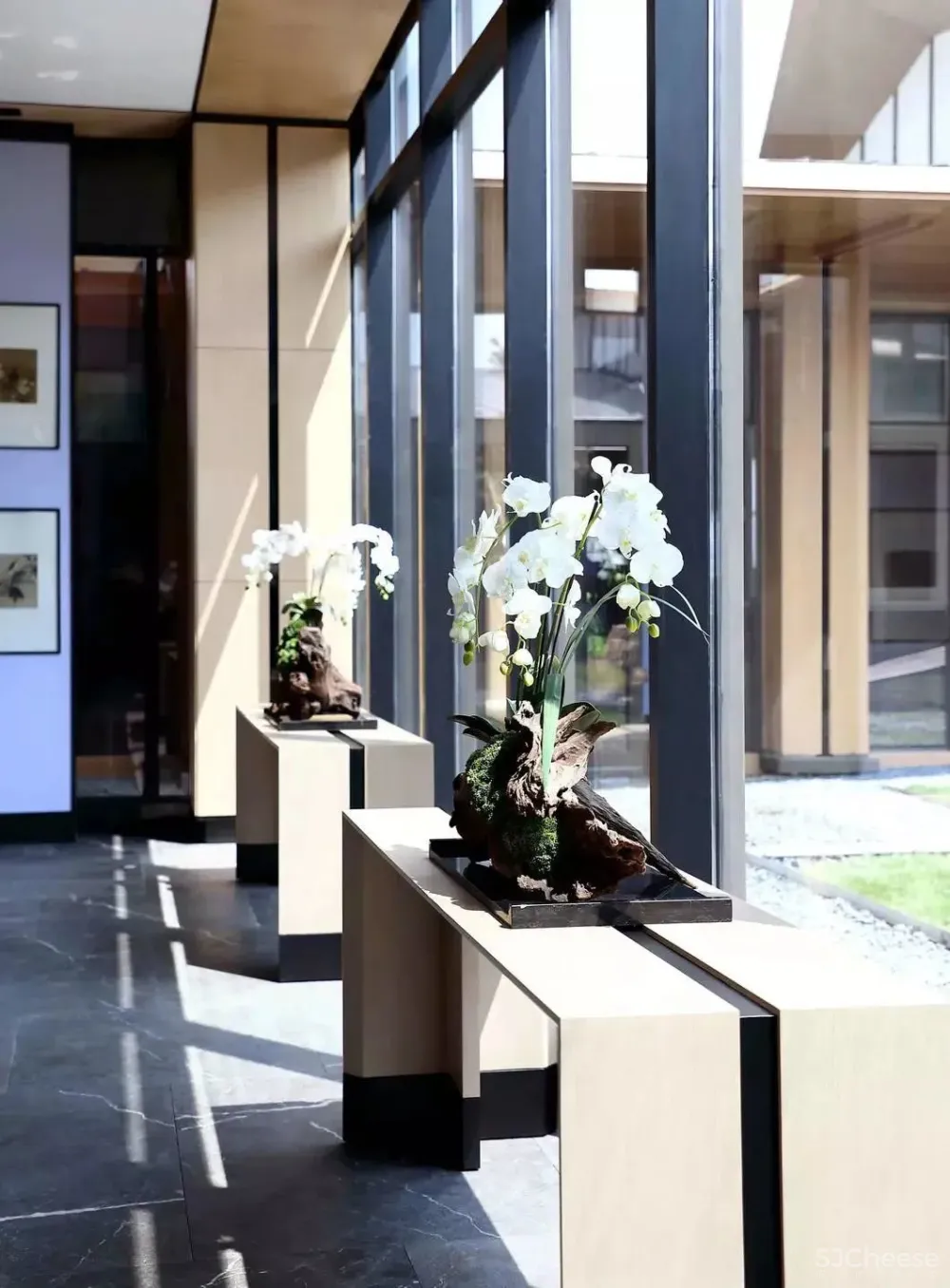 GBD 杜文彪专辑 售楼部