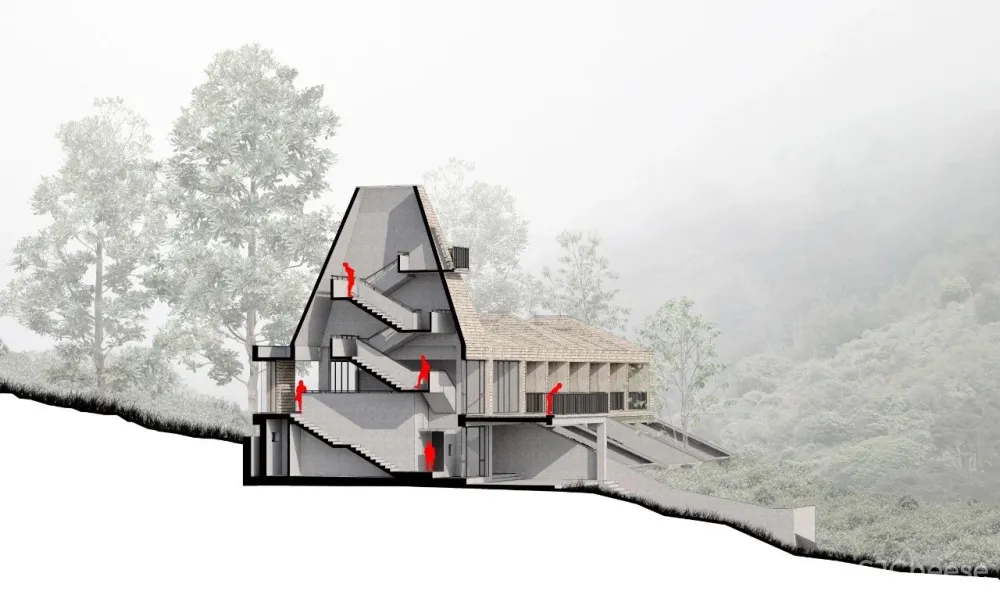 深山里的茶园民宿,美。