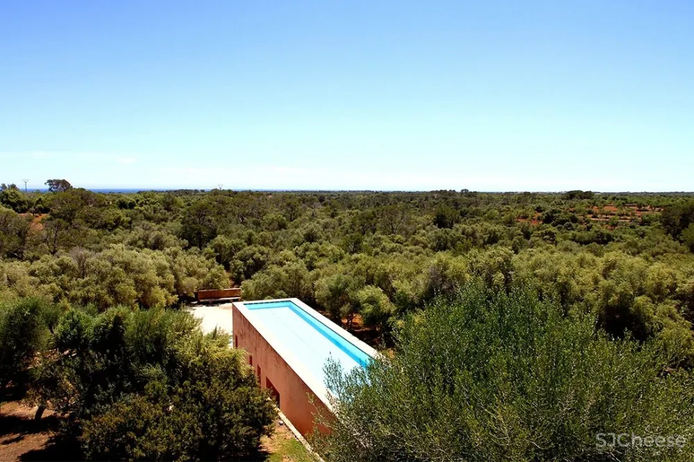 “土味”奢宅，越土越高级