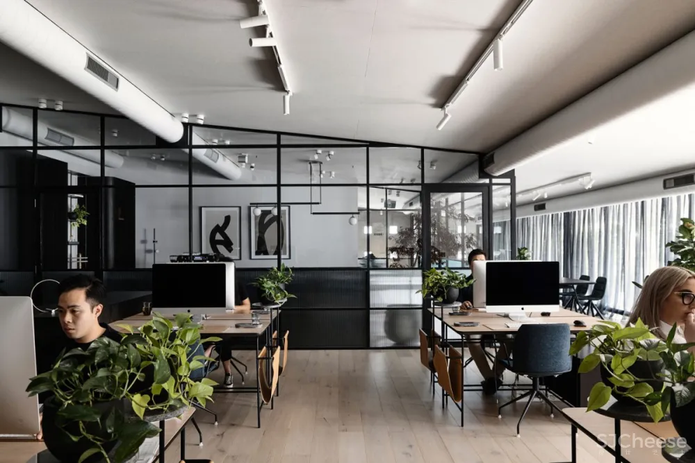 Biasol Studio | Cremorne Office , 大胆精致的办公空间