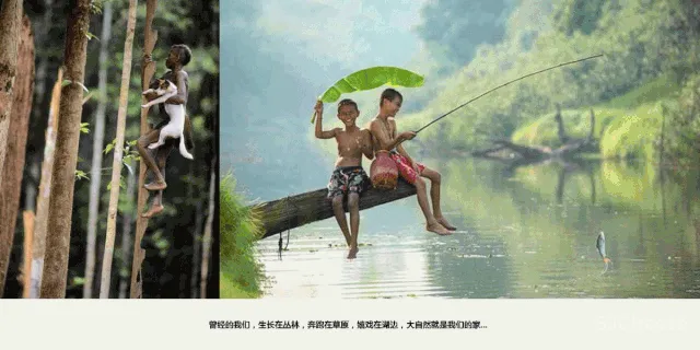 GBD 杜文彪专辑 样板间