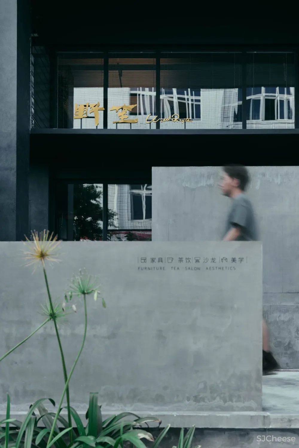 野笙：半年“野蛮生长”，拿下全球大奖，这个年轻的重庆家居品牌凭什么？