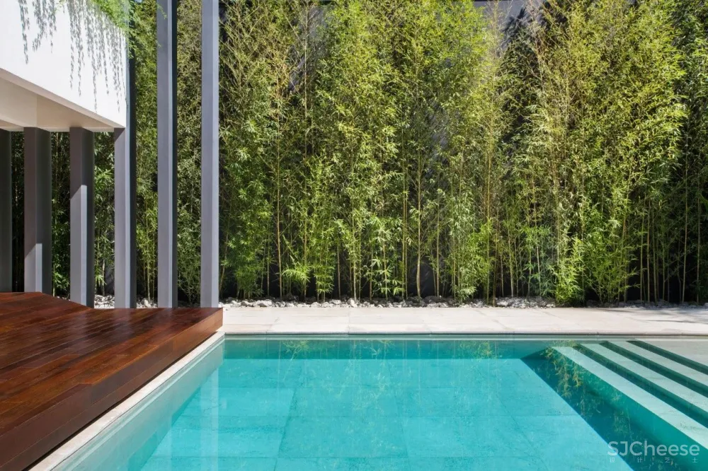 Guilherme Torres丨极简却不冷淡的完美主义