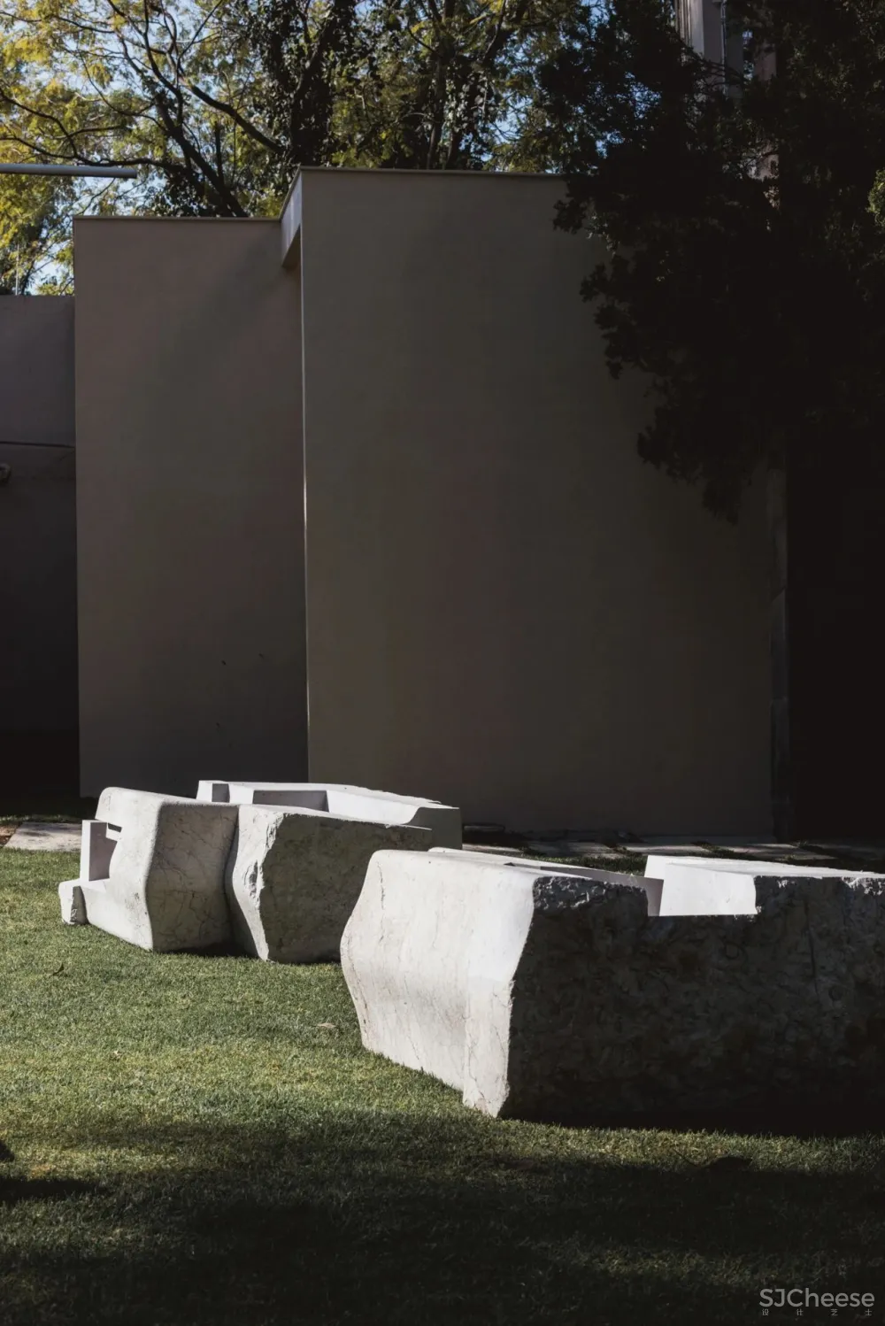 “集體收藏”與“恢復發現”