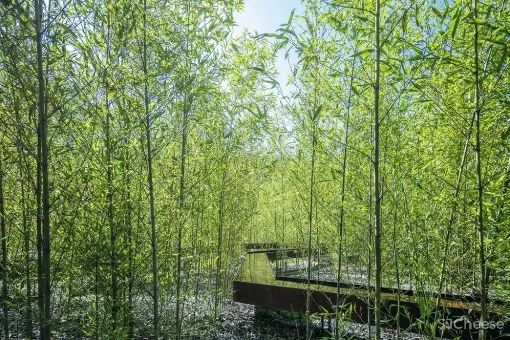 国内第一家-台中谷关“虹夕诺雅”的温泉度假酒店!