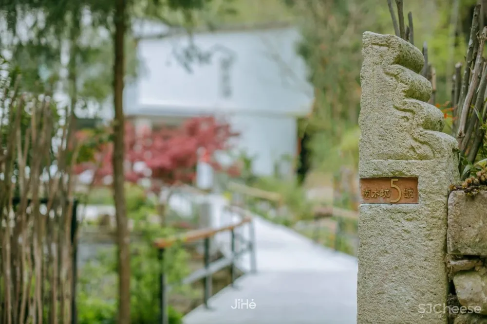 台州仙居|杜若山居 ,睡进森林白房子,人美景少超清净