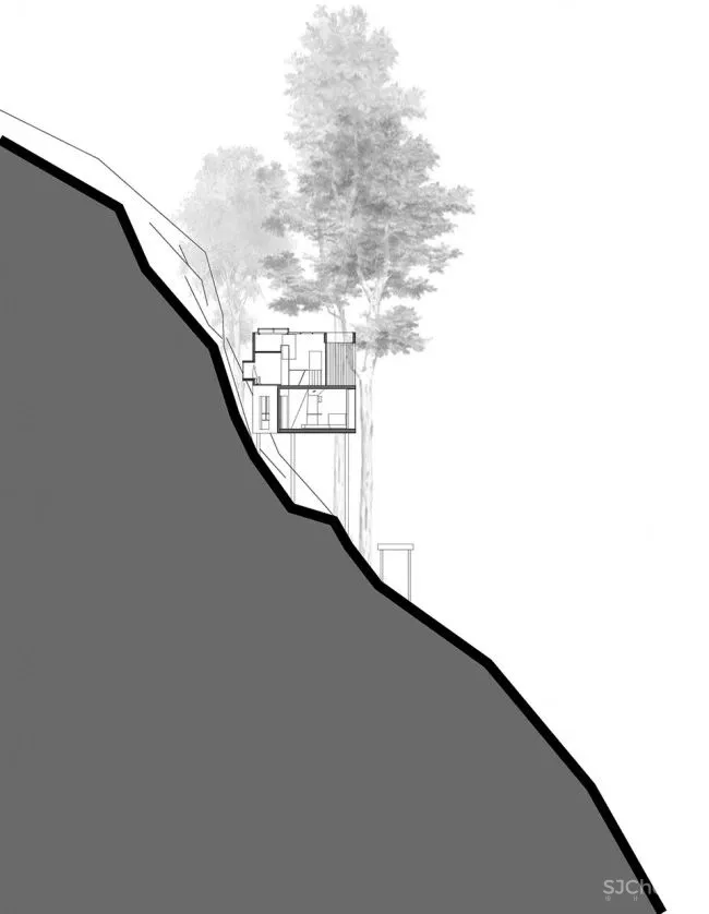 深山里的茶园民宿,美。