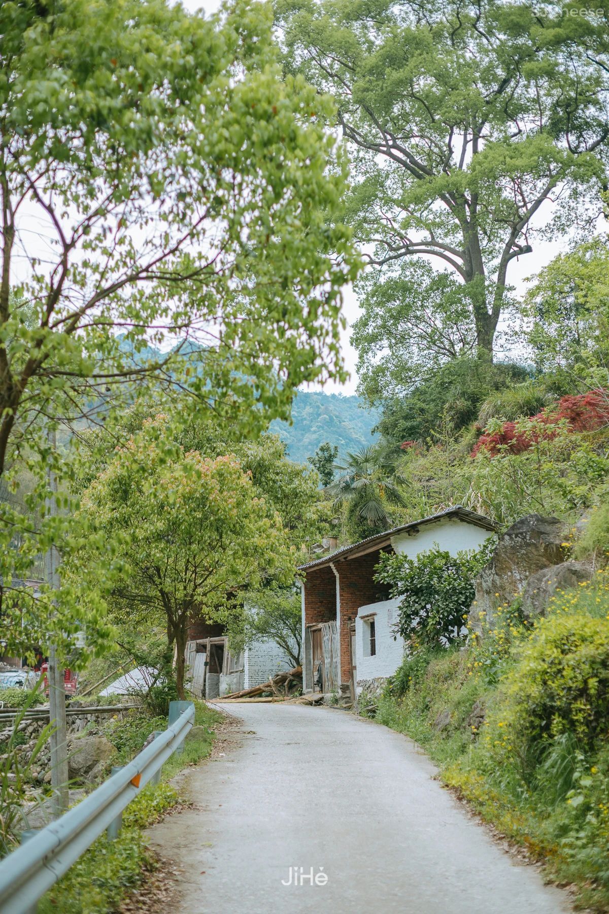 台州仙居|杜若山居 ,睡进森林白房子,人美景少超清净