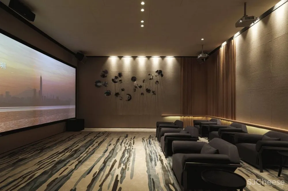 Panshine 派尚设计专辑