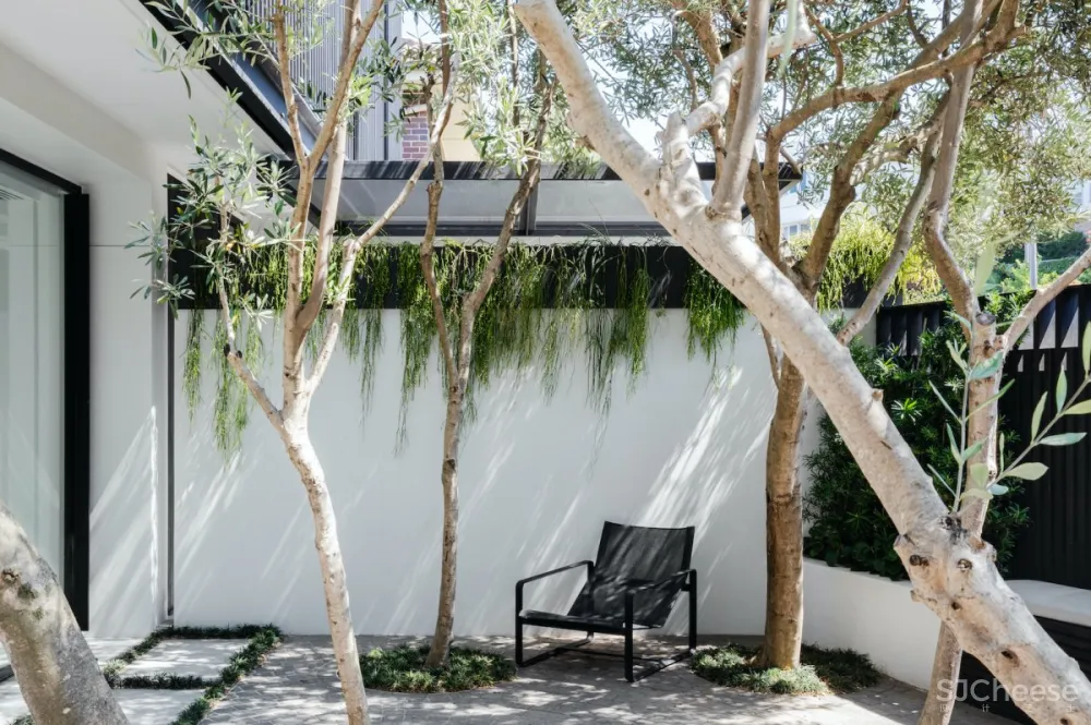 Milieu Creative | Bay House , 当代豪华的海湾住宅