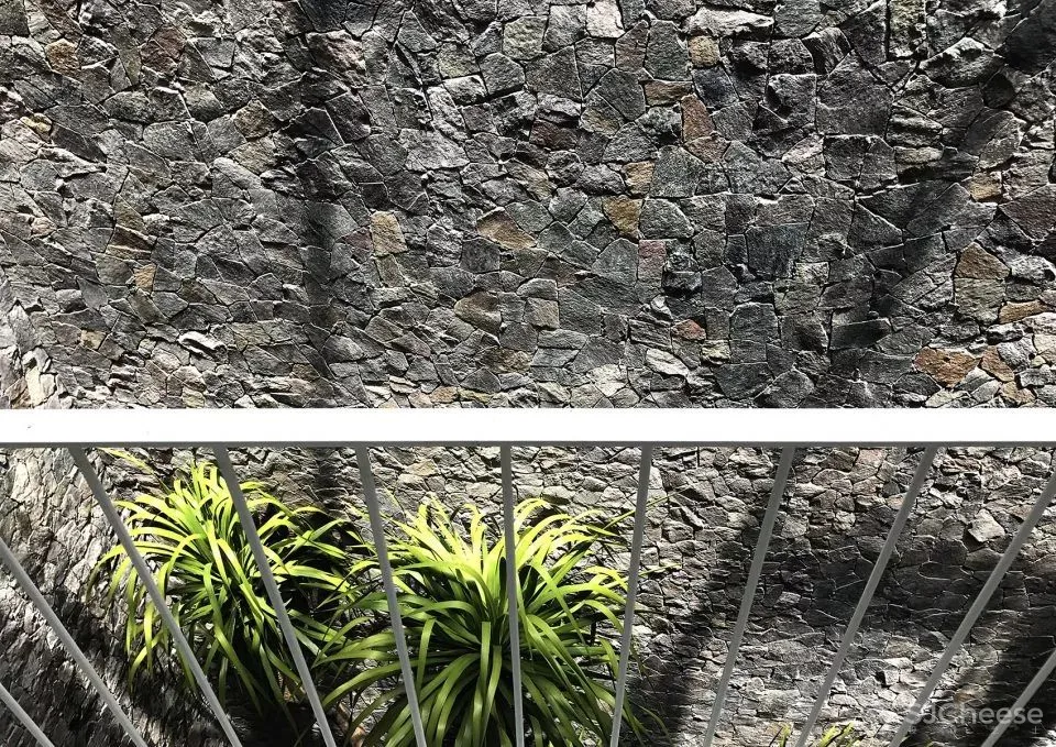 越南这个被低估的设计国度,竟藏了这么多绿色住宅