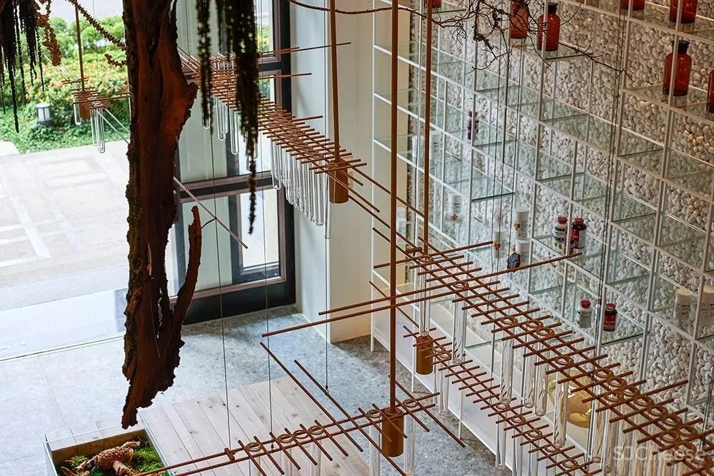 中国最美药店诞生！建筑大师伊东丰雄弟子操刀，药店再也不像超市了！