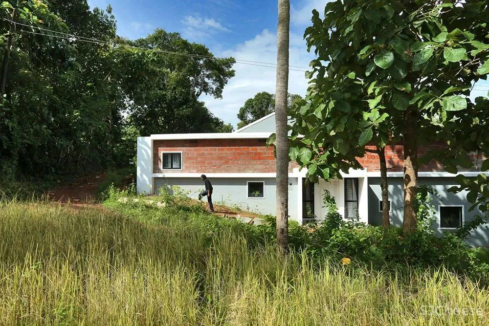 诞生于设计师和住户之间的住宅