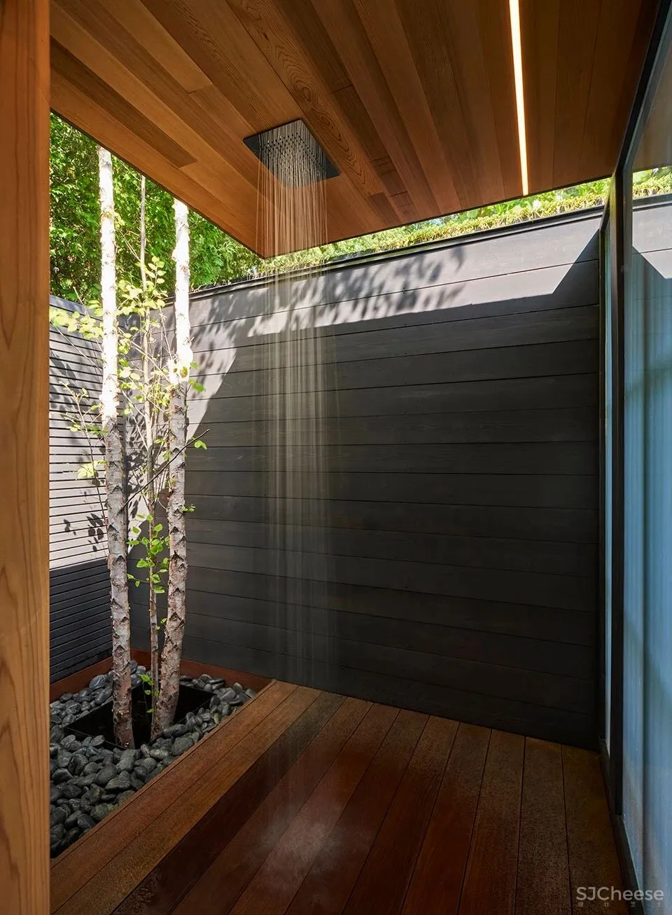 庭院住宅，细节中的自然探索