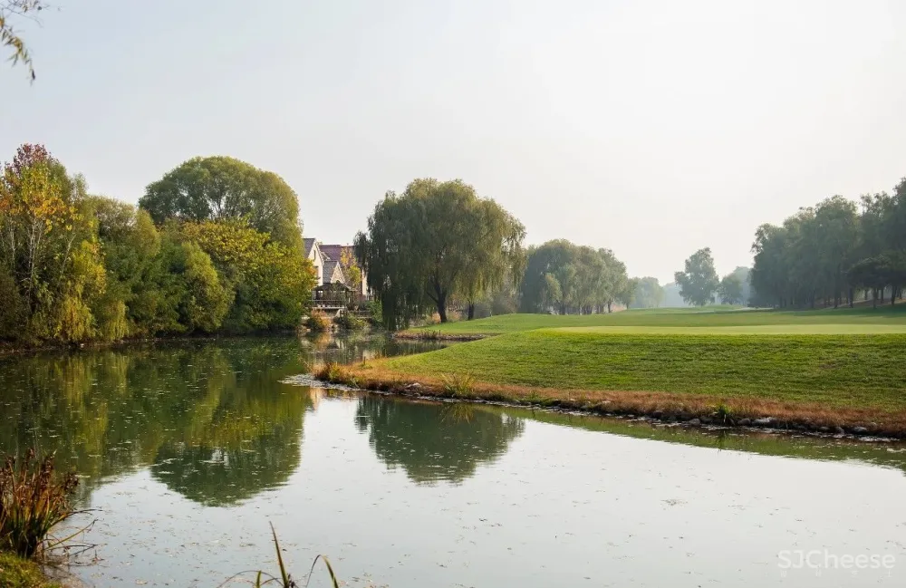 一座没有直线的居所