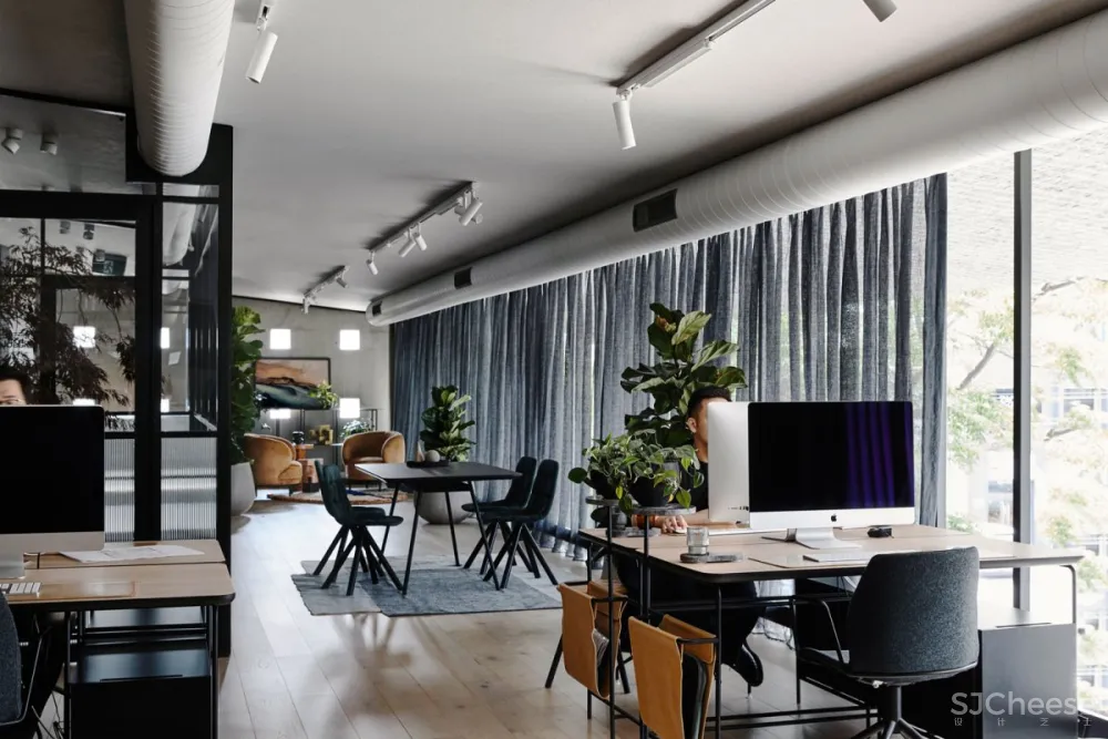 Biasol Studio | Cremorne Office , 大胆精致的办公空间