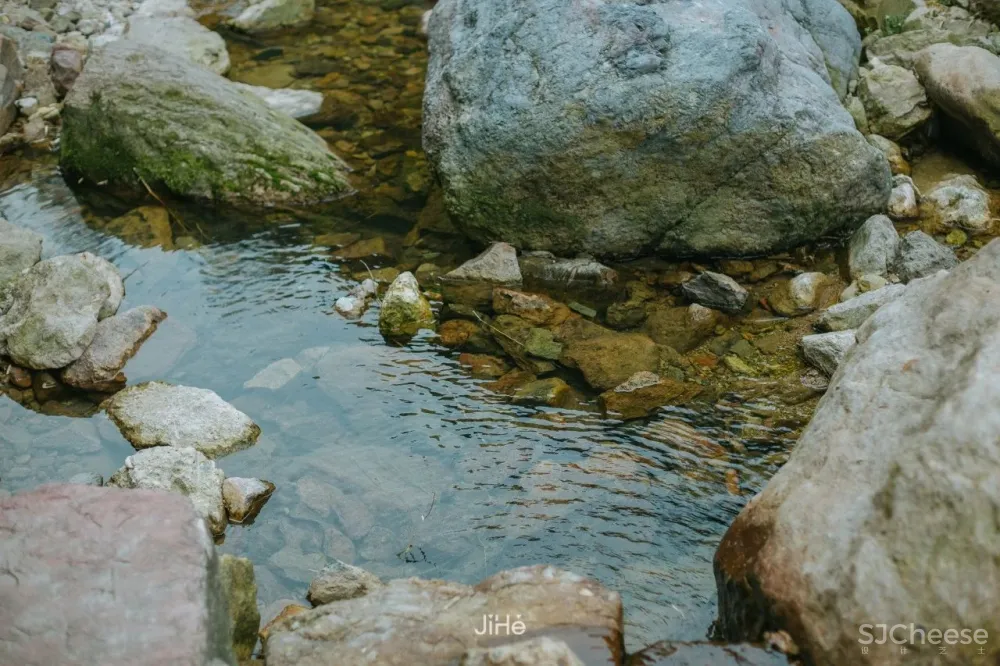 台州仙居|杜若山居 ,睡进森林白房子,人美景少超清净