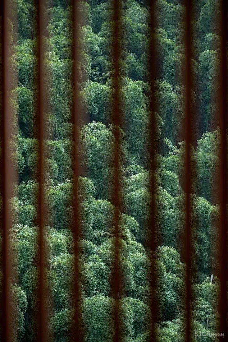 邂逅山野间的精品民宿