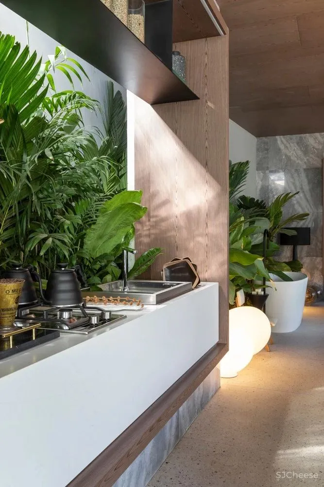 圣保罗 :GrãoHouse 的房子