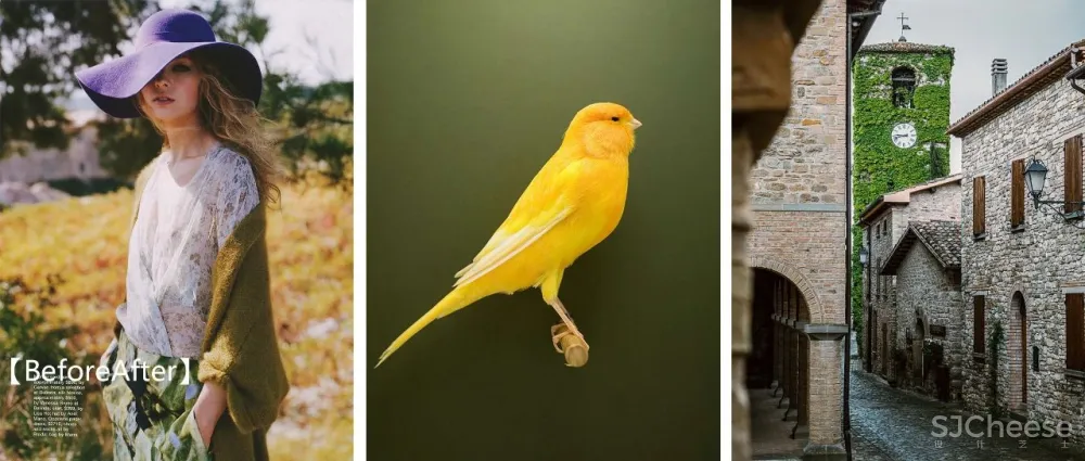 2020年首选的十大家居配色:靓丽暖色调来袭