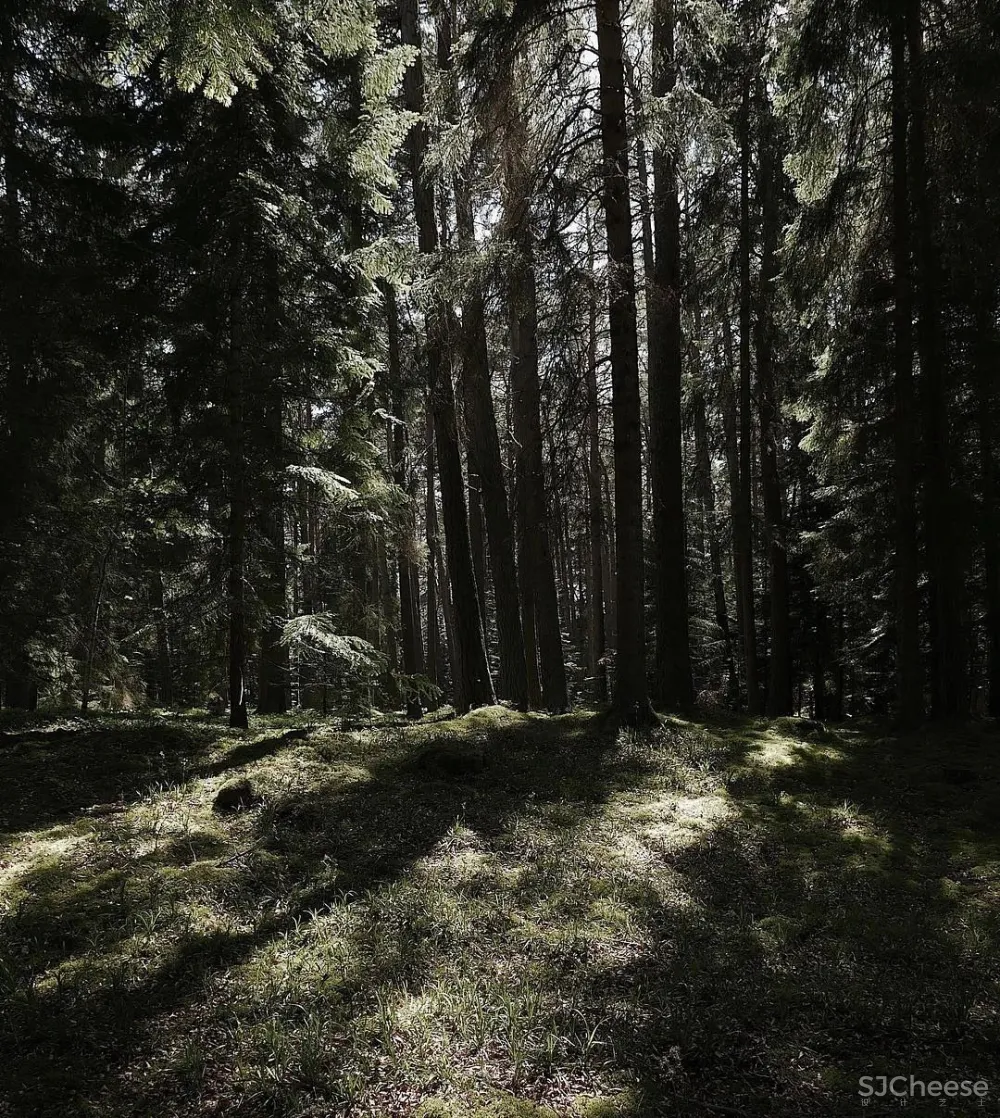 维多利亚女王的狩猎小屋,被Axel Vervoordt 徒弟改造成侘寂酒店