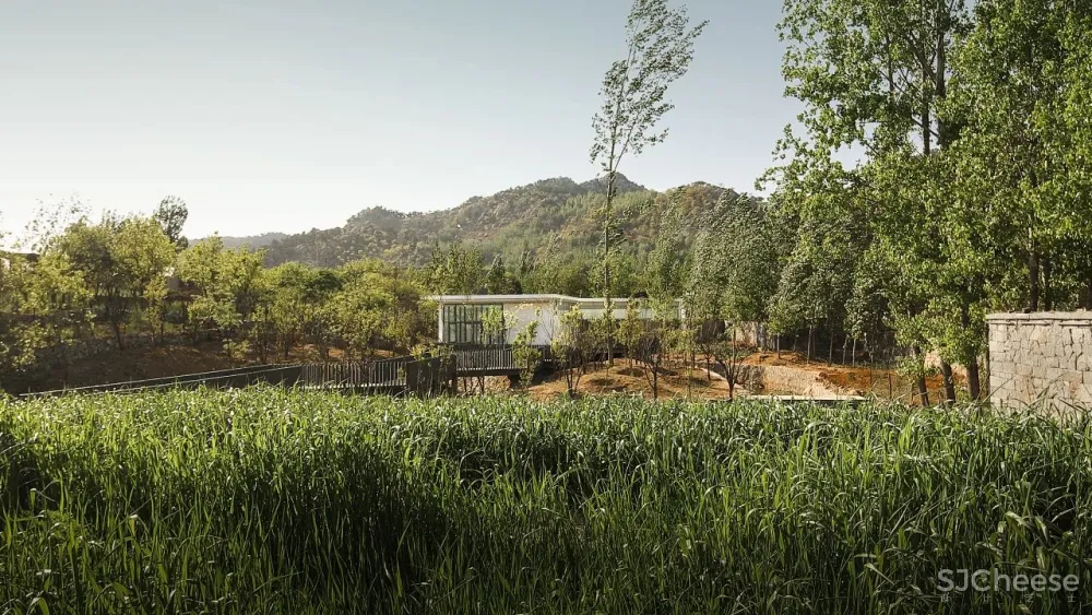 乡下有块地就能建造梦想家?让这个“玩乐队”的建筑师告诉你有多难