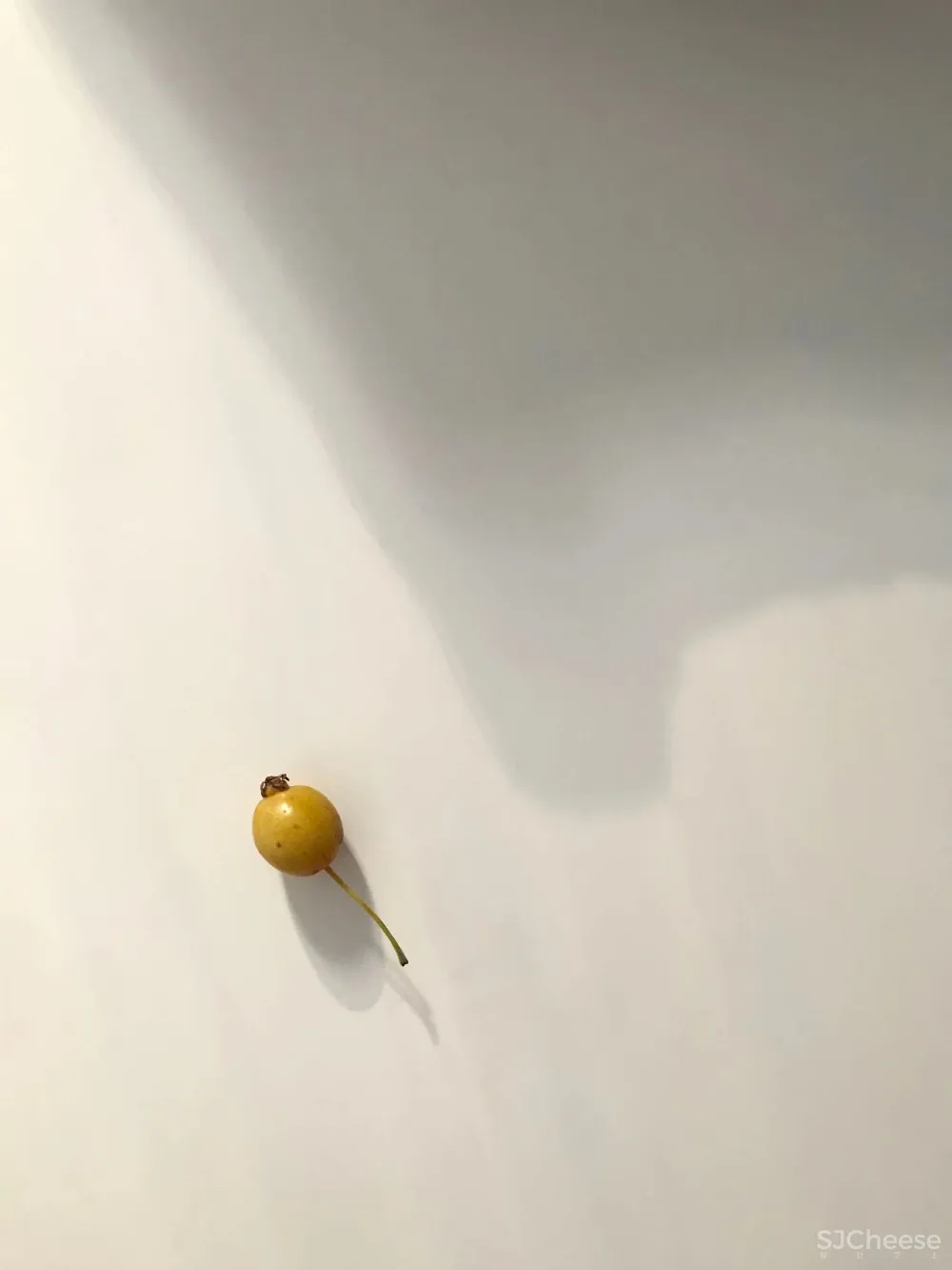 FILLSTUDIO杨跃文|如空气般质感,唤醒空间能量场