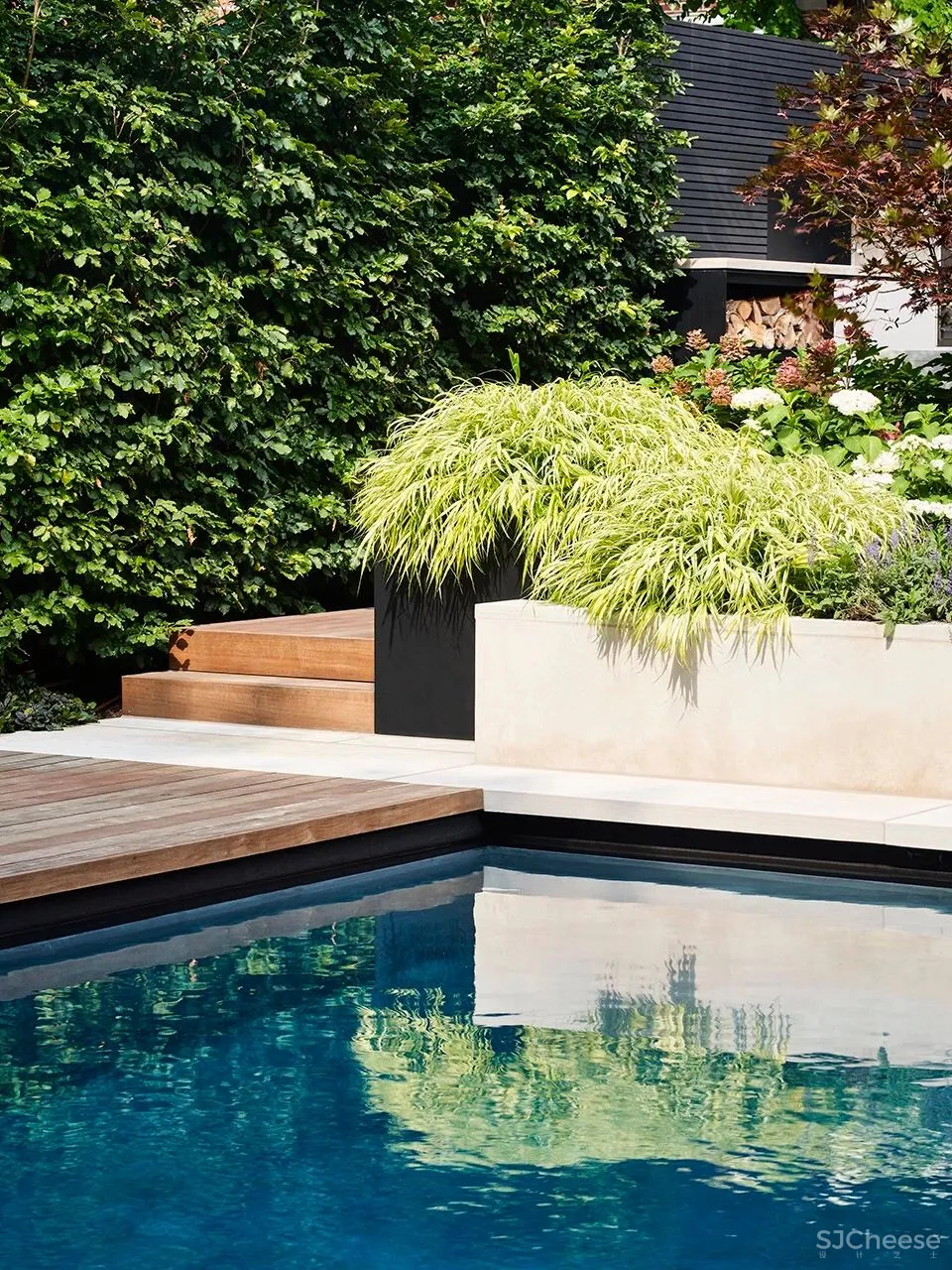 庭院住宅，细节中的自然探索