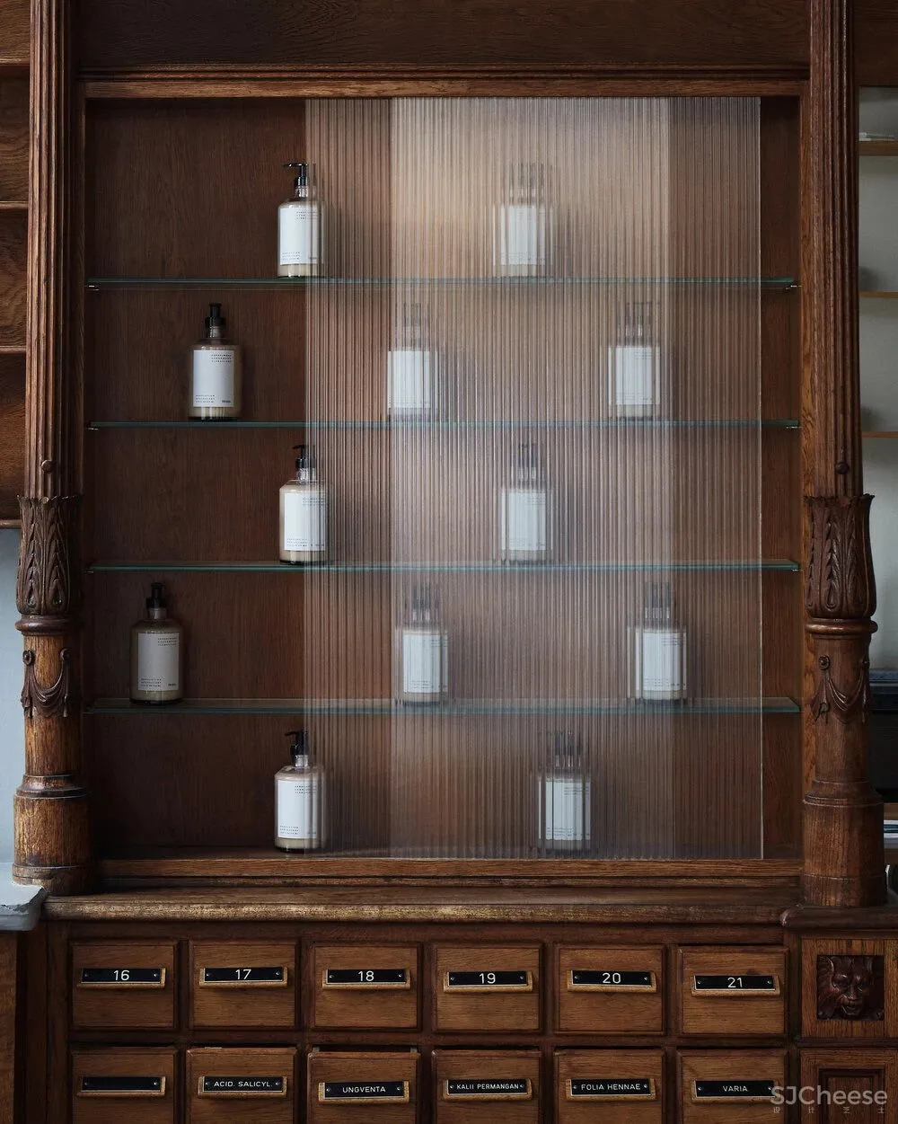 视觉的優雅演奏