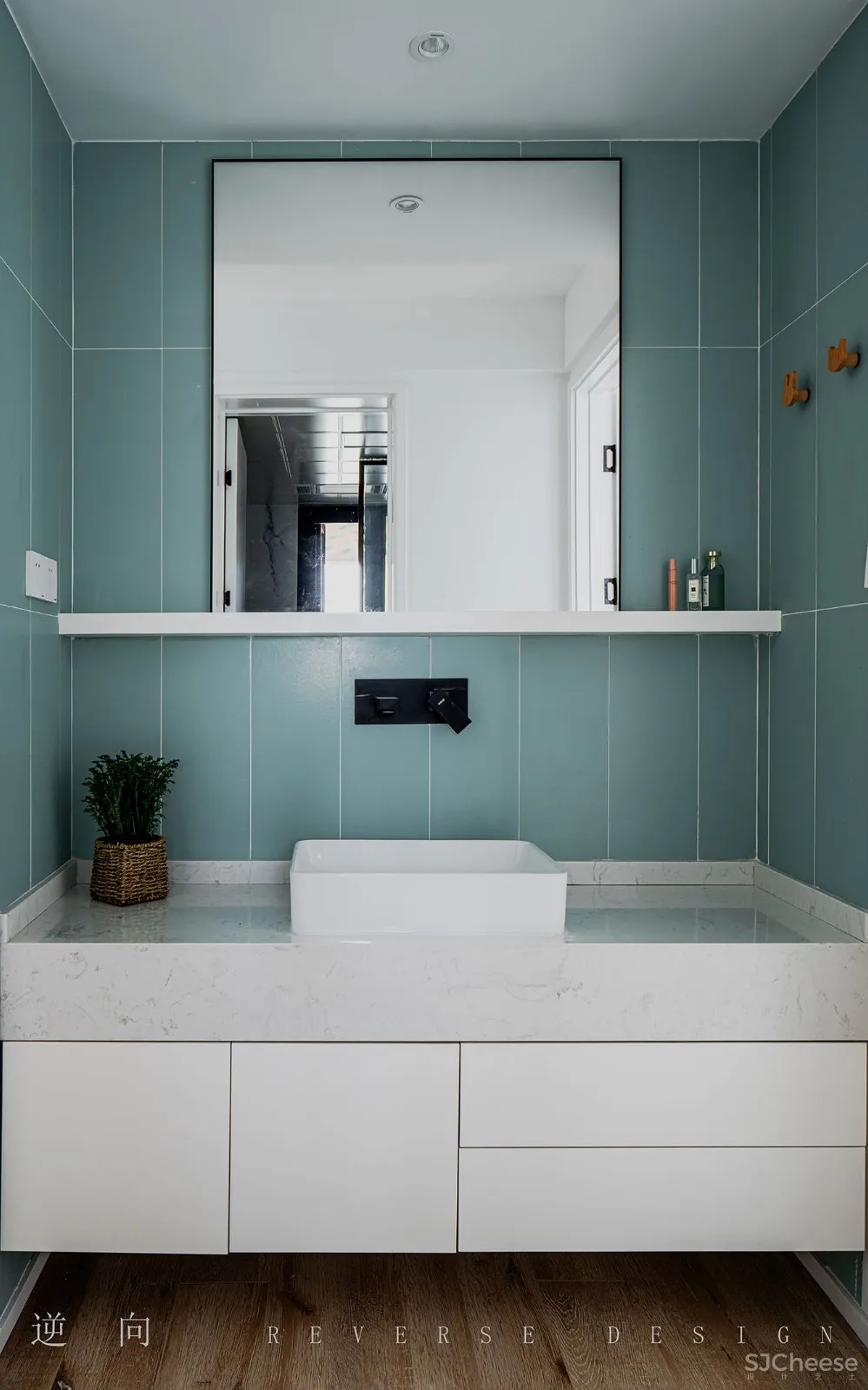 Daylight · 春光无限好