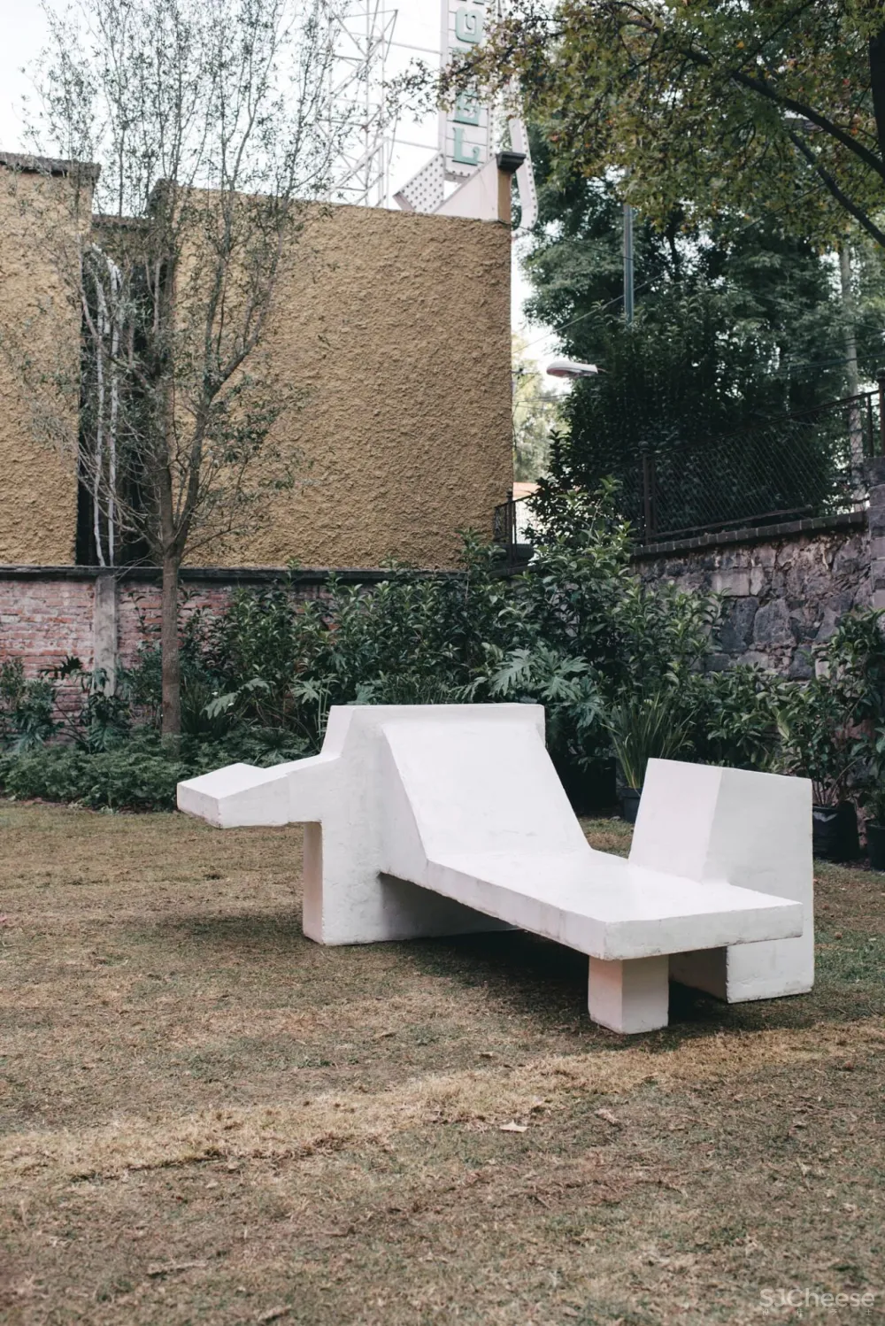 “集體收藏”與“恢復發現”